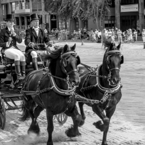 Baptiste-concours equestre à Leeuwarden -04 août 2018-0050